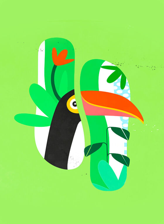  Illustration of toucan on flip flops