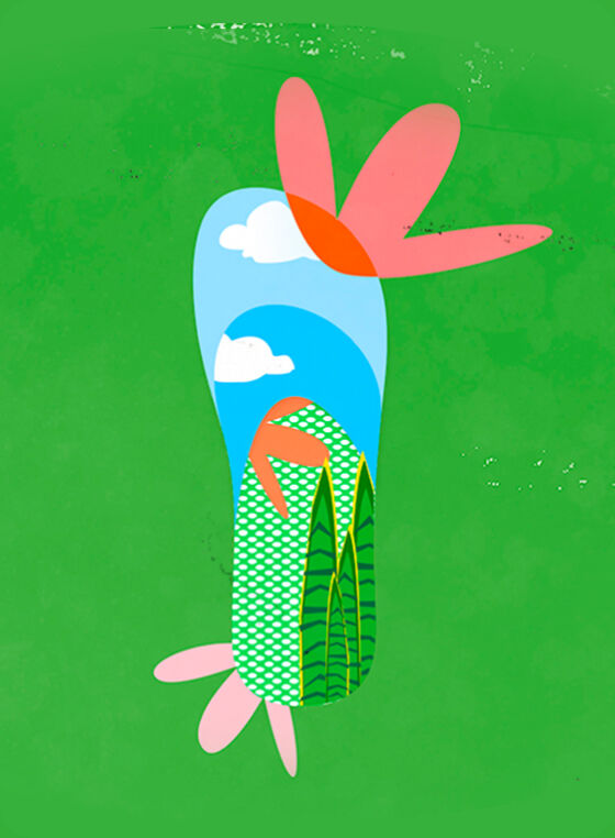 flip flops